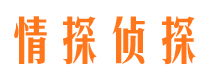 东平市婚姻调查